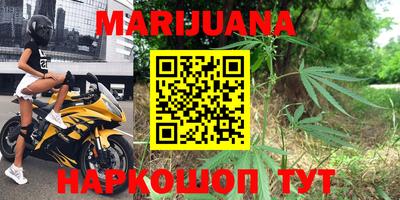 индика Анапа