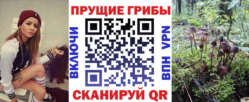 Псилоцибиновые грибы прущие грибы  купить закладку  Курганинск 