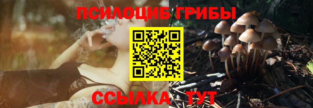 Псилоцибиновые грибы Psilocybe  Псилоцибиновые грибы ЛСД  Вход с VPN  наркота  Курганинск 