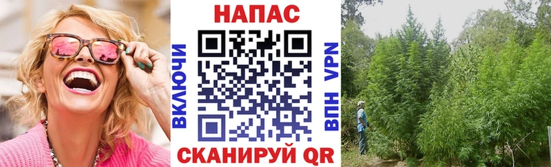 Конопля индика Курганинск